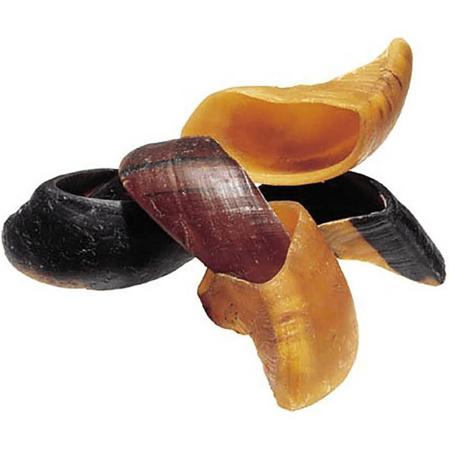 Sabot de boeuf 