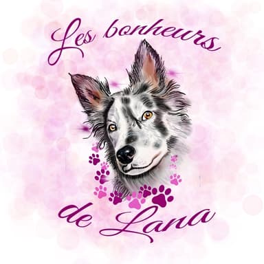 store_logo