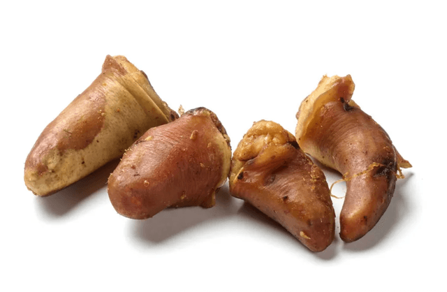 Queue de porc