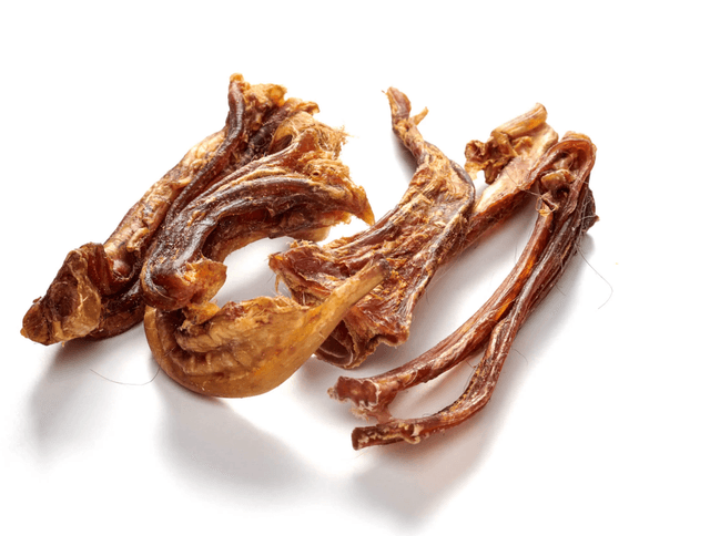 Tendons Achille 