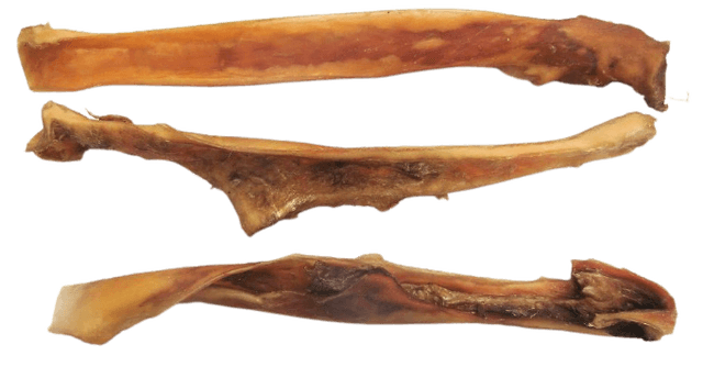 Peau de tête de boeuf 70cm 